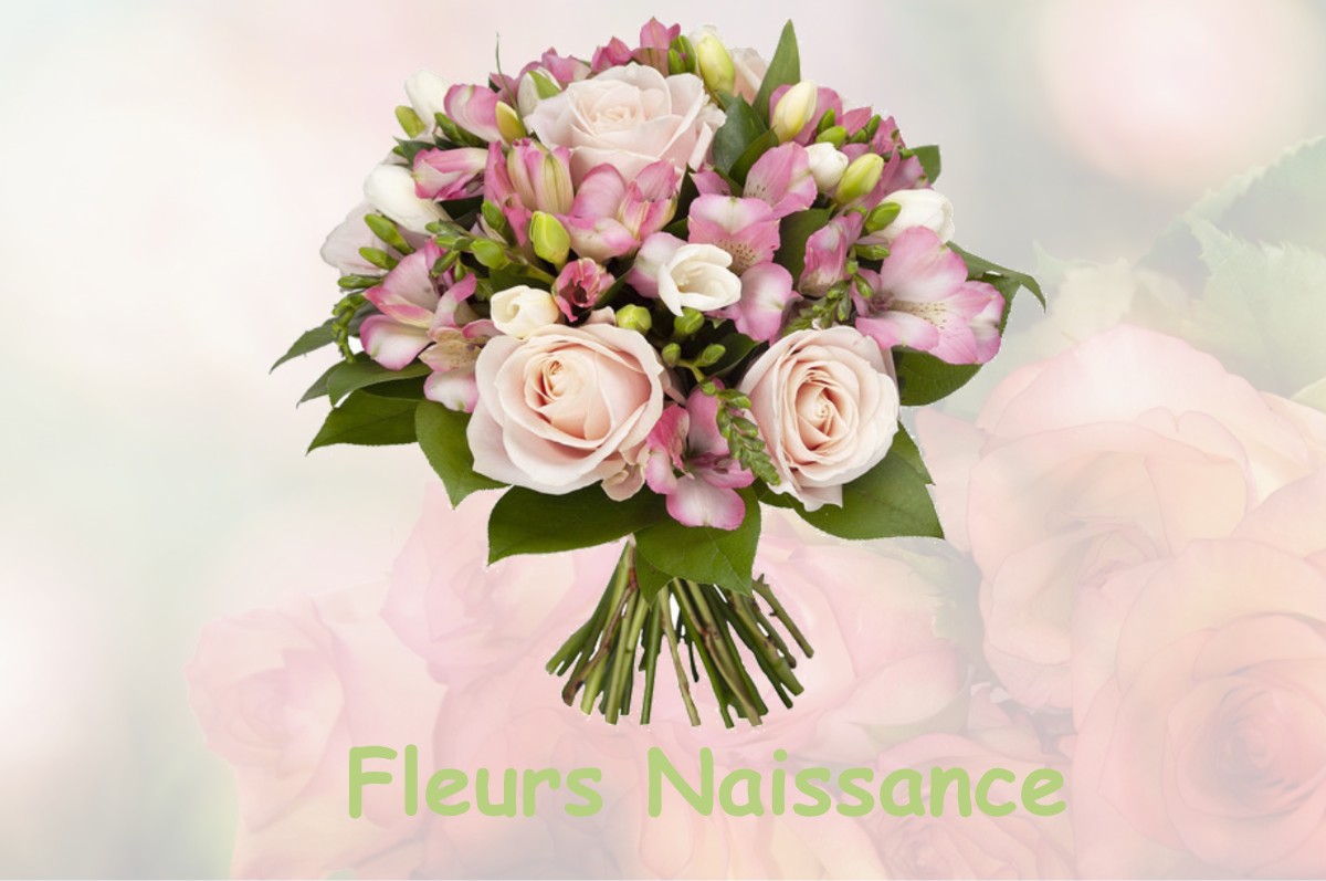 fleurs naissance BELLEGARDE-SUR-VALSERINE